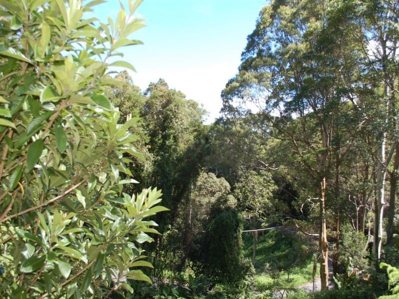 13 Perrys Road, Repton NSW 2454