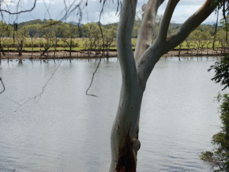29 Burrawong Parade, Urunga NSW 2455