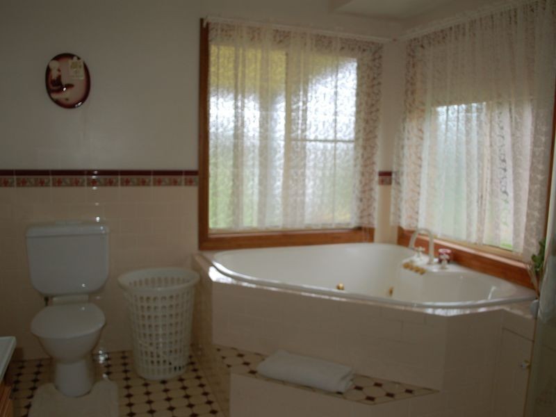 22 Hayden Street, Dorrigo NSW 2453