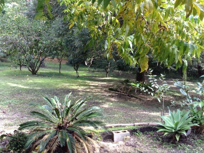 67 Priory Parade, Valla NSW 2448
