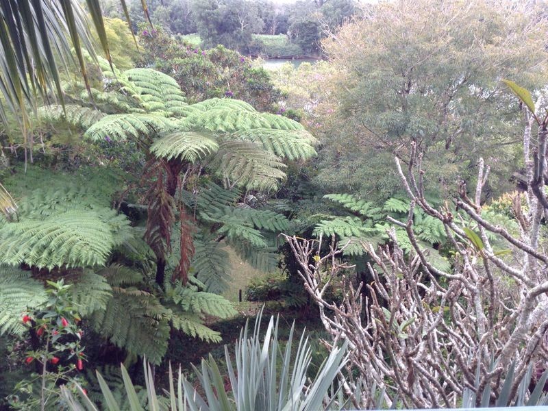 54 Old Pacific Highway, Raleigh NSW 2454