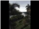 54 Old Pacific Highway, Raleigh NSW 2454