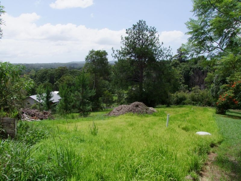 No.3 Lucas Avenue, Bellingen NSW 2454