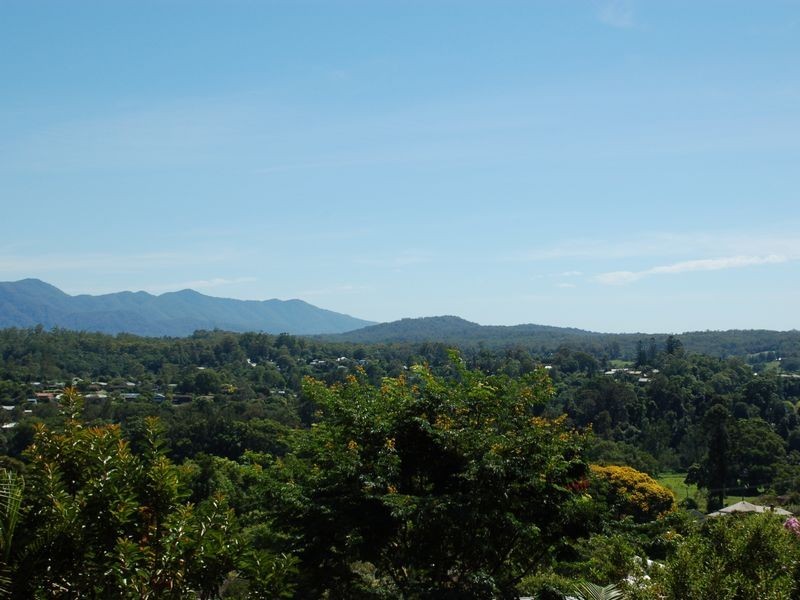 59 Williams Street, Bellingen NSW 2454