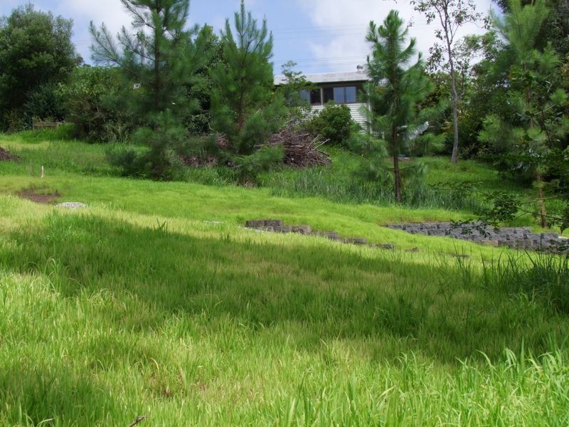 No.5 Lucas Avenue, Bellingen NSW 2454