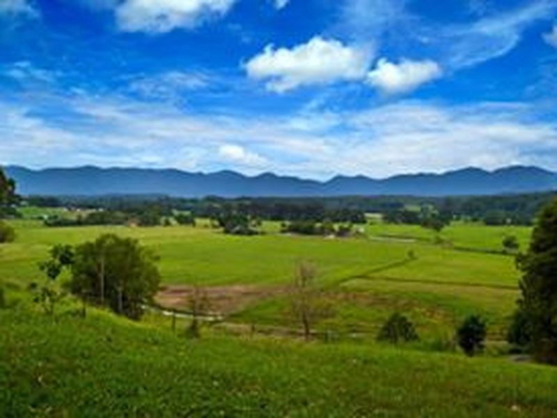 3/763 Waterfall Way, Fernmount NSW 2454