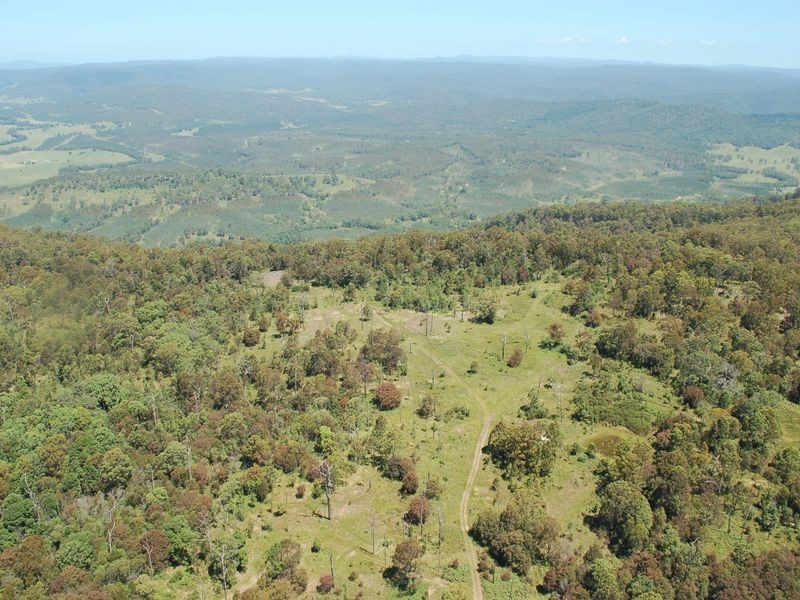 1556 Kangaroo Creek Road, Kangaroo Creek NSW 2460