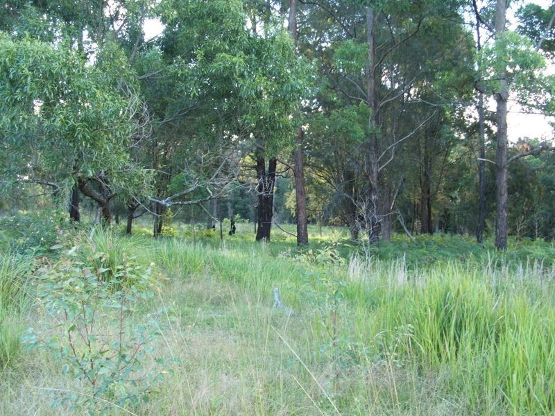 1556 Kangaroo Creek Road, Kangaroo Creek NSW 2460