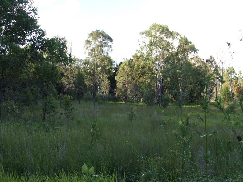 1556 Kangaroo Creek Road, Kangaroo Creek NSW 2460