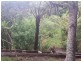 54 Dowle Street, Bellingen NSW 2454