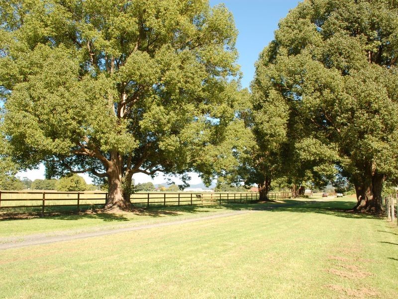 83 Old Ferry Road, Raleigh NSW 2454