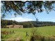 235 Beaumonts Road, Dorrigo NSW 2453