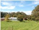 235 Beaumonts Road, Dorrigo NSW 2453