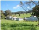 235 Beaumonts Road, Dorrigo NSW 2453