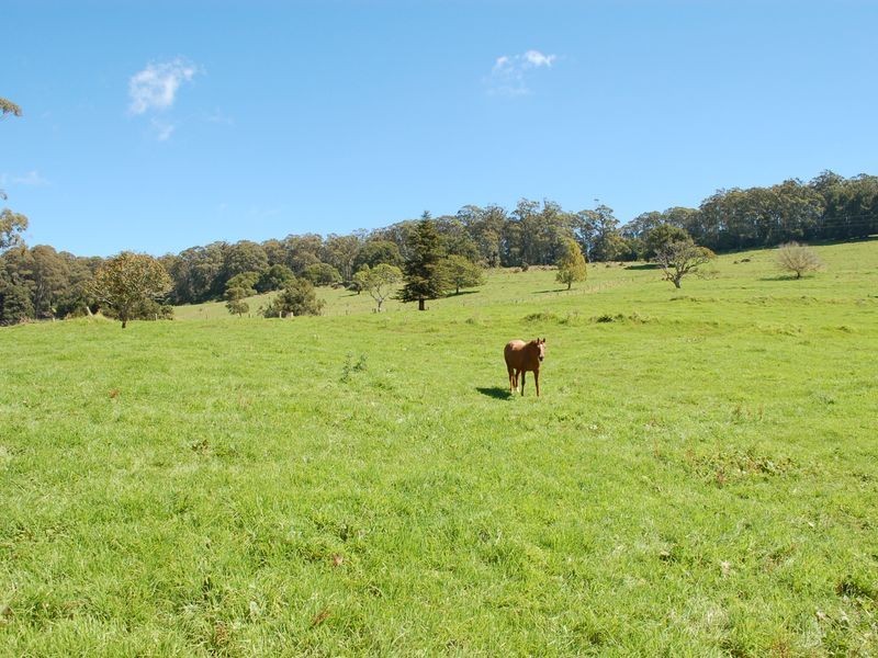 235 Beaumonts Road, Dorrigo NSW 2453