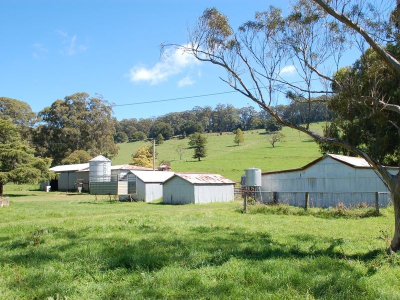 235 Beaumonts Road, Dorrigo NSW 2453
