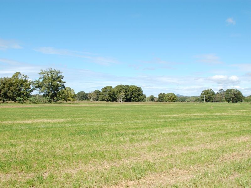 53 Old Ferry Road, Raleigh NSW 2454