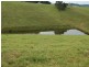 5287 Waterfall Way, Fernbrook NSW 2453