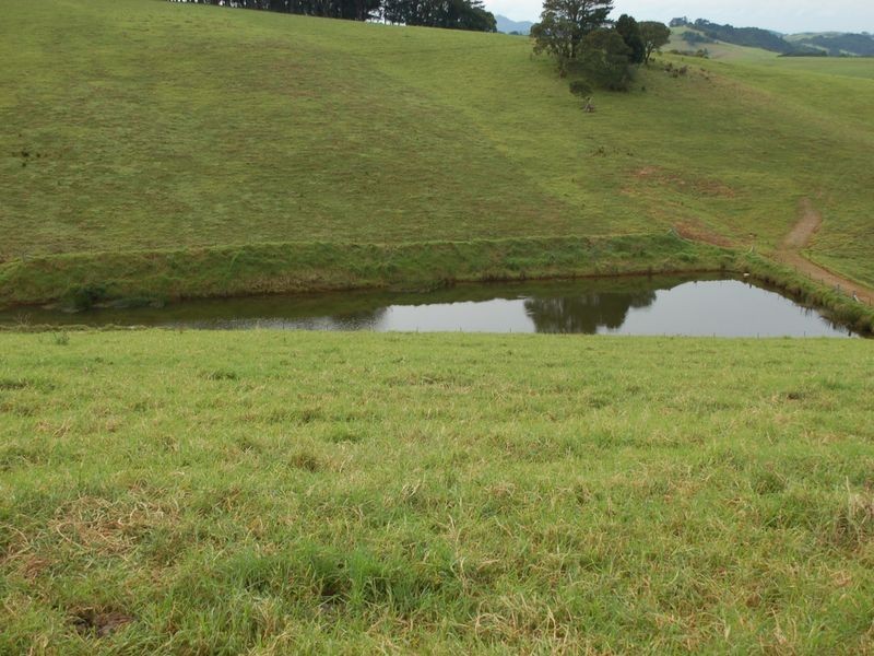 5287 Waterfall Way, Fernbrook NSW 2453