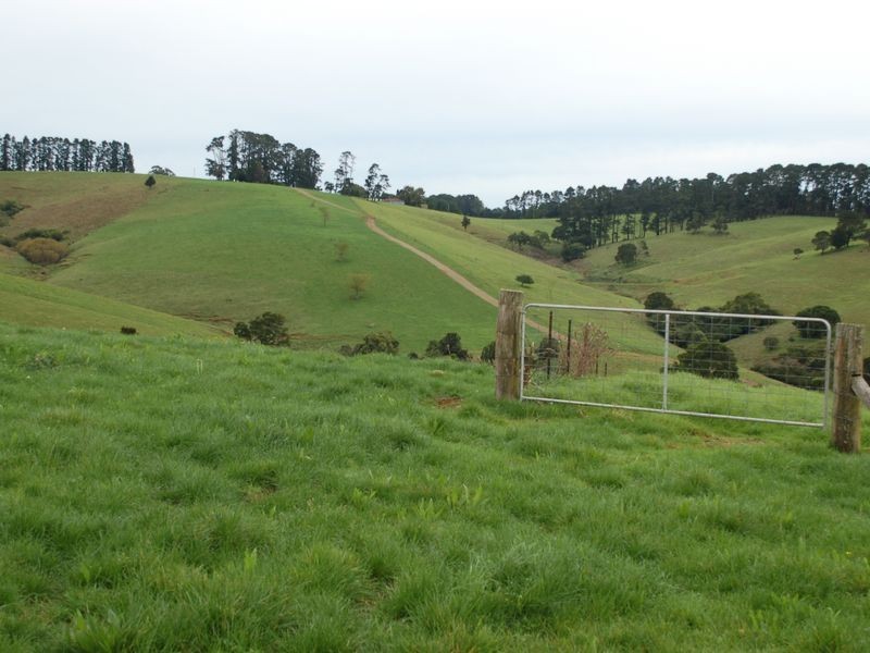5287 Waterfall Way, Fernbrook NSW 2453
