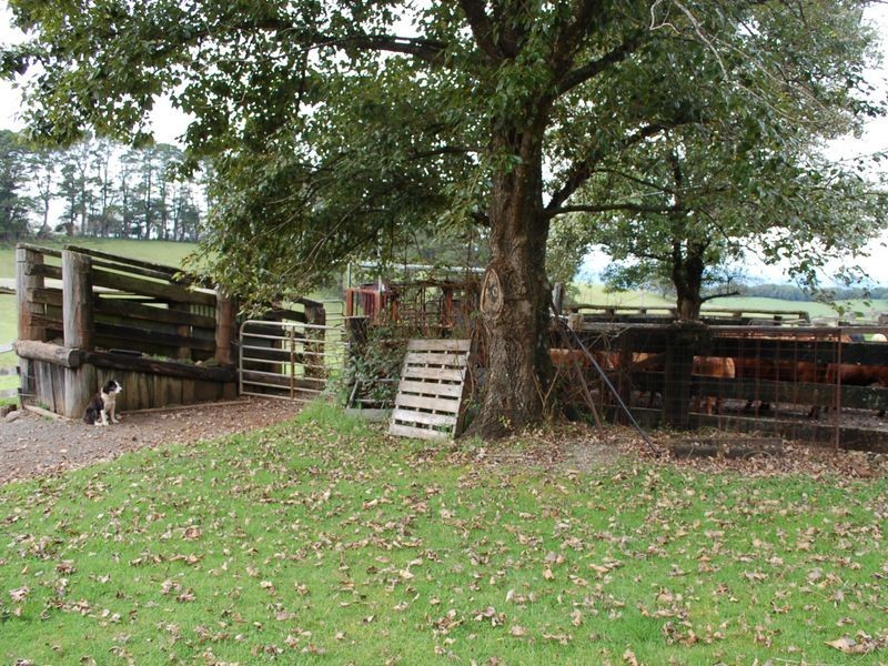 5287 Waterfall Way, Fernbrook NSW 2453