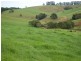 5287 Waterfall Way, Fernbrook NSW 2453