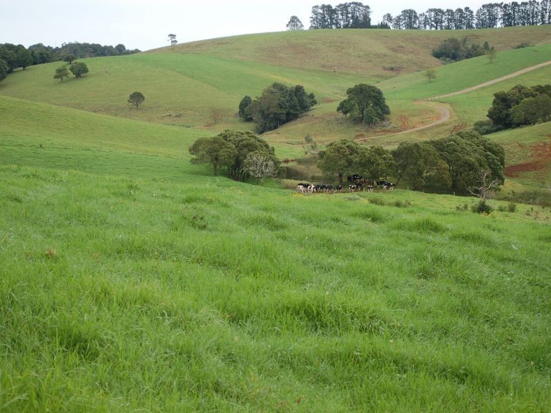 5287 Waterfall Way, Fernbrook NSW 2453