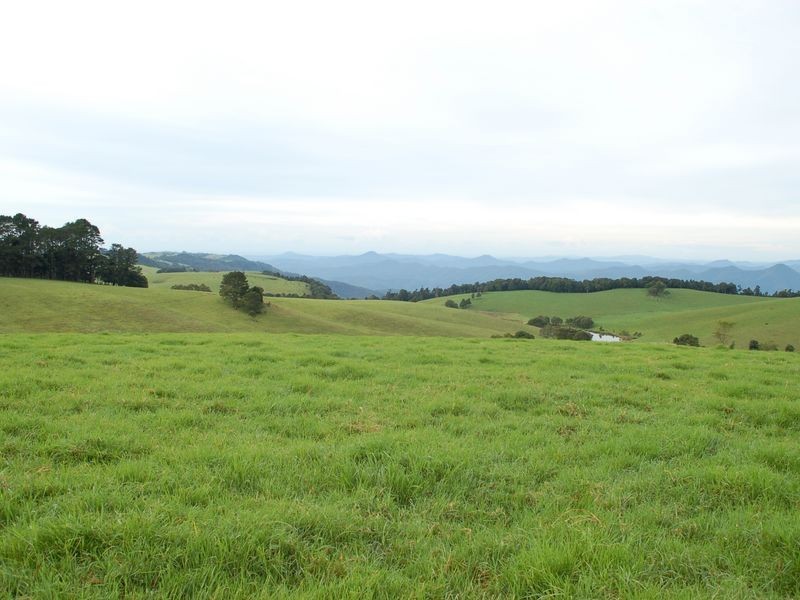 5287 Waterfall Way, Fernbrook NSW 2453