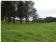 5287 Waterfall Way, Fernbrook NSW 2453