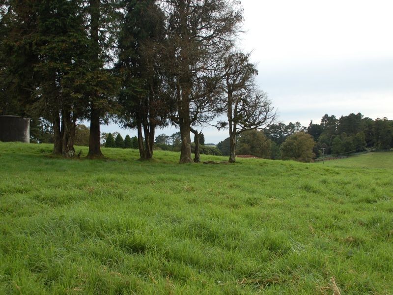 5287 Waterfall Way, Fernbrook NSW 2453