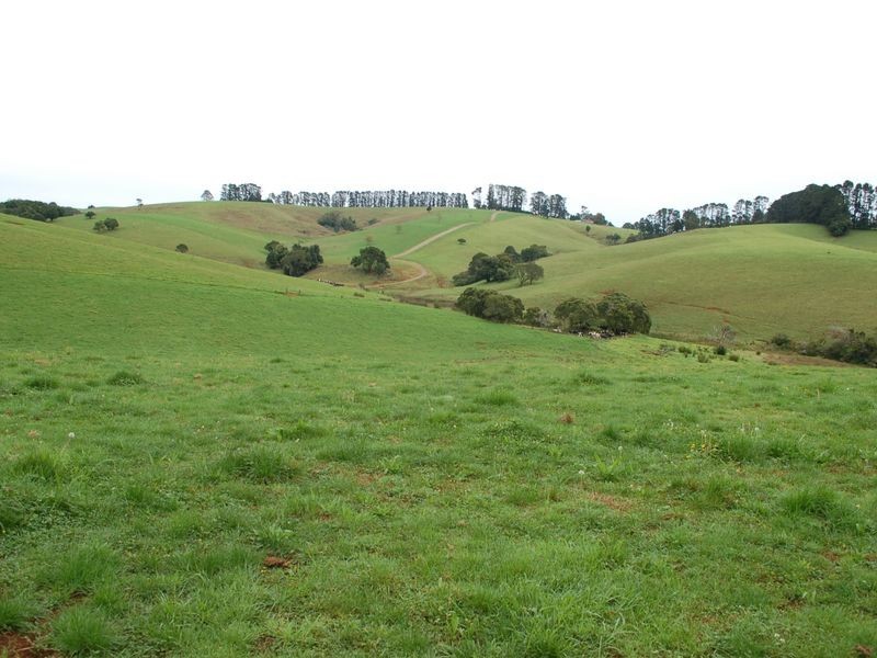 5287 Waterfall Way, Fernbrook NSW 2453