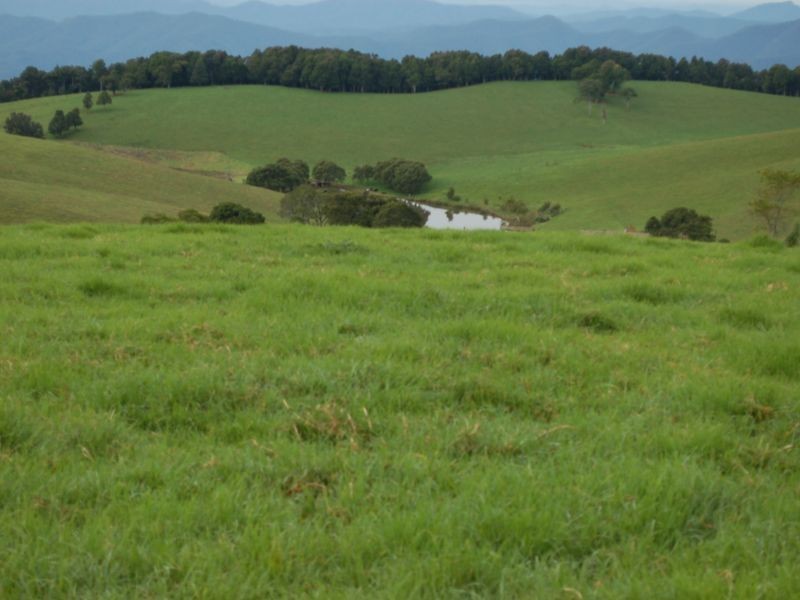 5287 Waterfall Way, Fernbrook NSW 2453