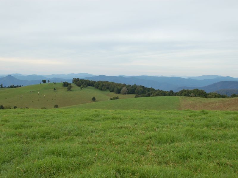 5287 Waterfall Way, Fernbrook NSW 2453