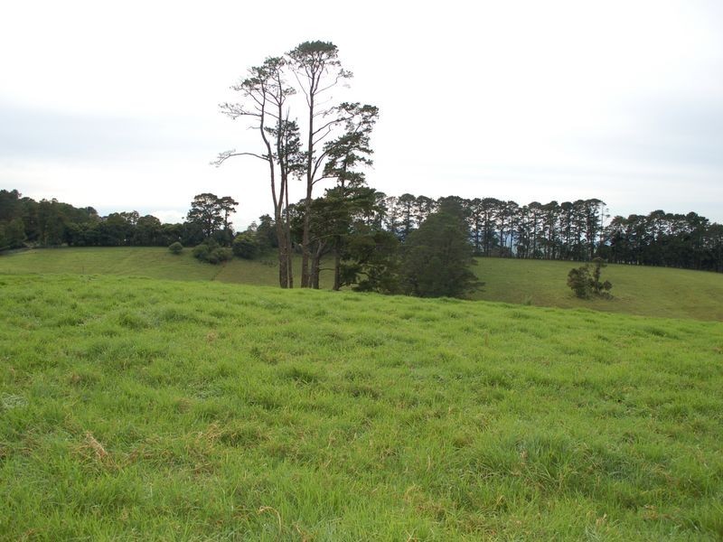 5287 Waterfall Way, Fernbrook NSW 2453