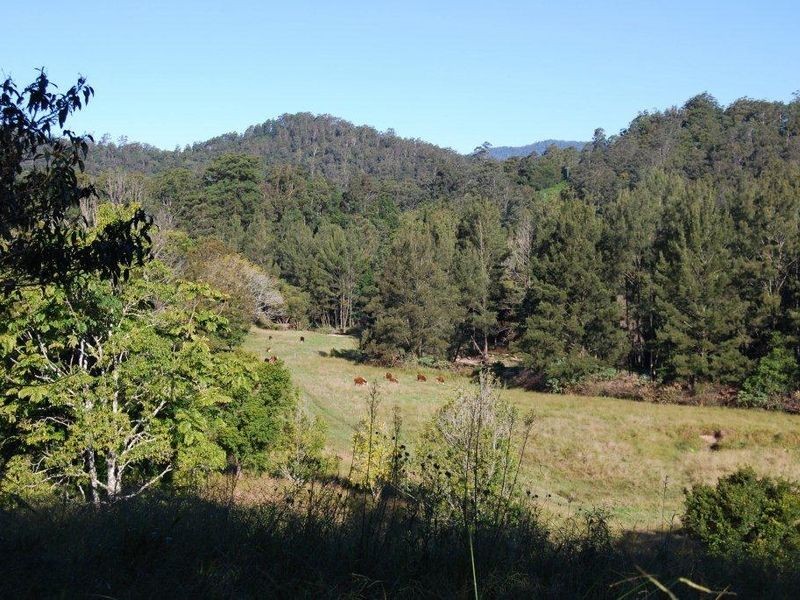2140 North Arm Road, Bowraville NSW 2449