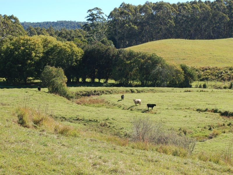 84 Kosekai Road, Yarranbella NSW 2447