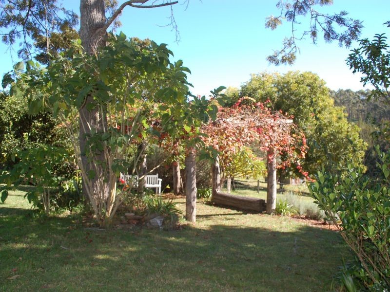 84 Kosekai Road, Yarranbella NSW 2447