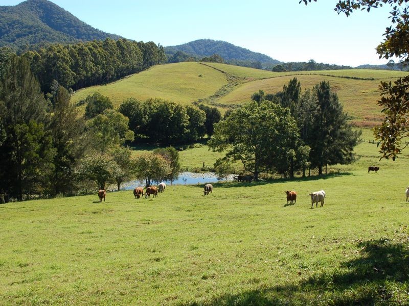 84 Kosekai Road, Yarranbella NSW 2447