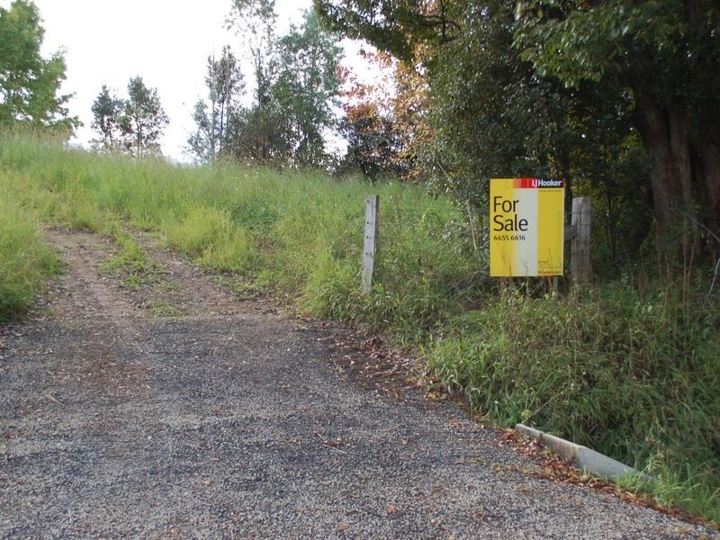 347 North Bank Rd, Bellingen NSW 2454