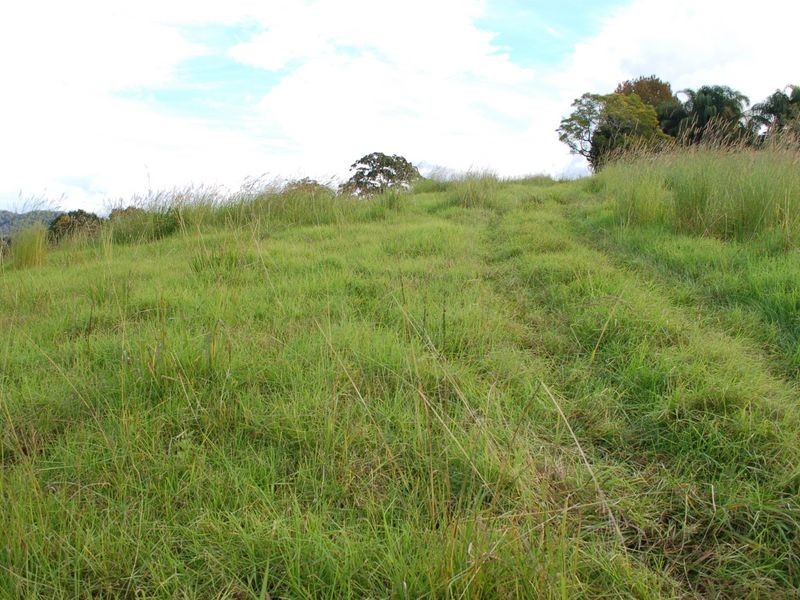 347 North Bank Rd, Bellingen NSW 2454