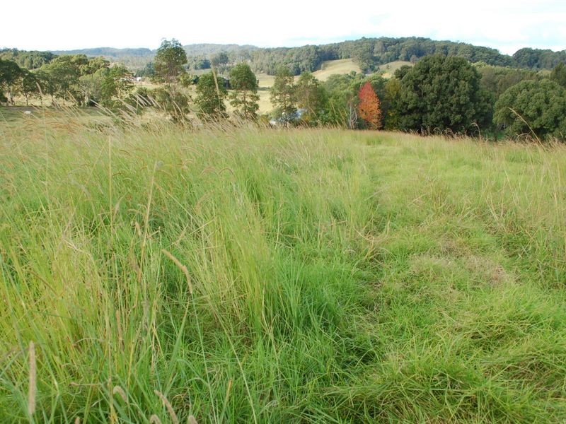 347 North Bank Rd, Bellingen NSW 2454