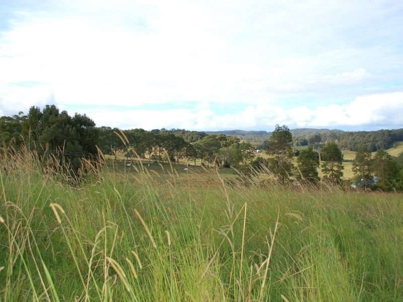 347 North Bank Rd, Bellingen NSW 2454