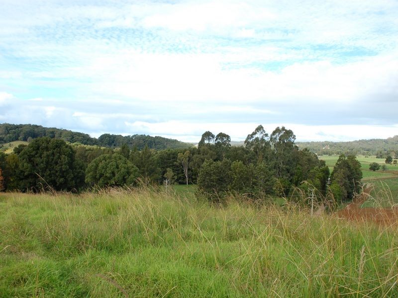 347 North Bank Rd, Bellingen NSW 2454