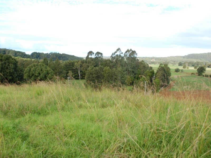 347 North Bank Rd, Bellingen NSW 2454