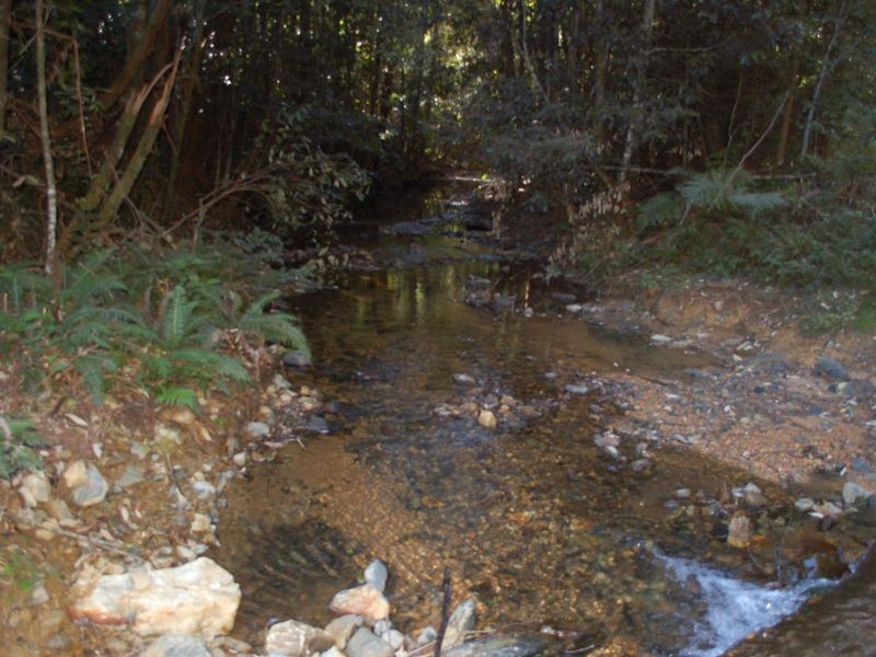 Lot 3 Eve Creek Road, Brooklana NSW 2450