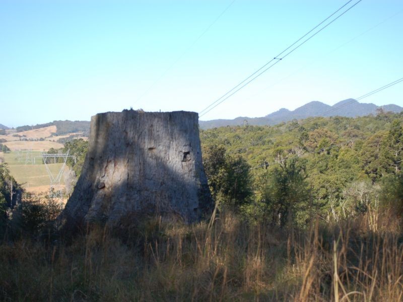 Lot 3 Eve Creek Road, Brooklana NSW 2450