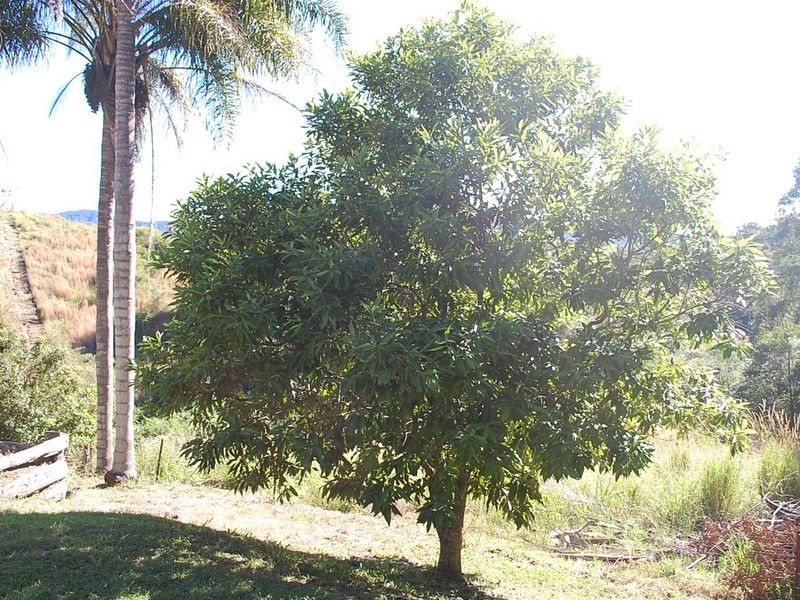 67 Colemans Road, Valla NSW 2448