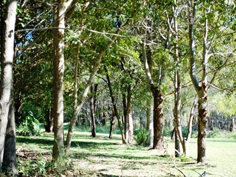 34 McBaron Street, Raleigh NSW 2454