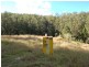 Lot 19 Upper Buckrabendinni road, Argents Hill NSW 2449
