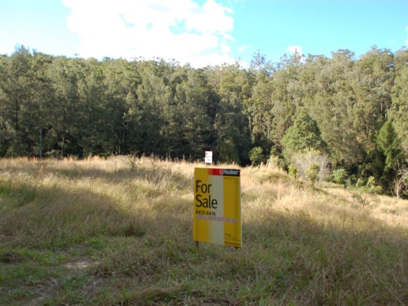 Lot 19 Upper Buckrabendinni road, Argents Hill NSW 2449
